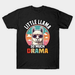 Little Llama So Much Drama, Cool Kids Matching Family T-Shirt